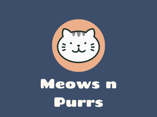 Meows n Purrs